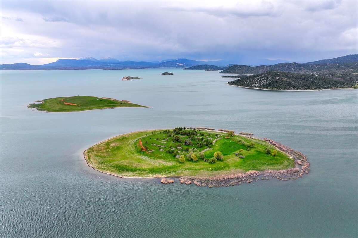 Konya’da bu sürü, adada tek başına yaşıyor 2